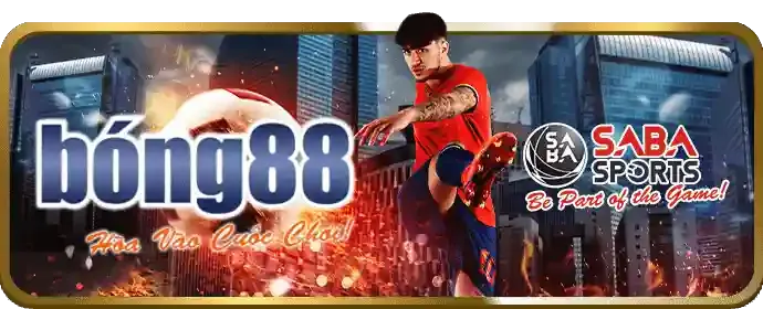 Đá gà trực tuyến cat368
